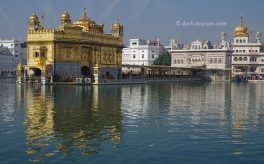 03-06-2020 - Golden Temple, Amritsar