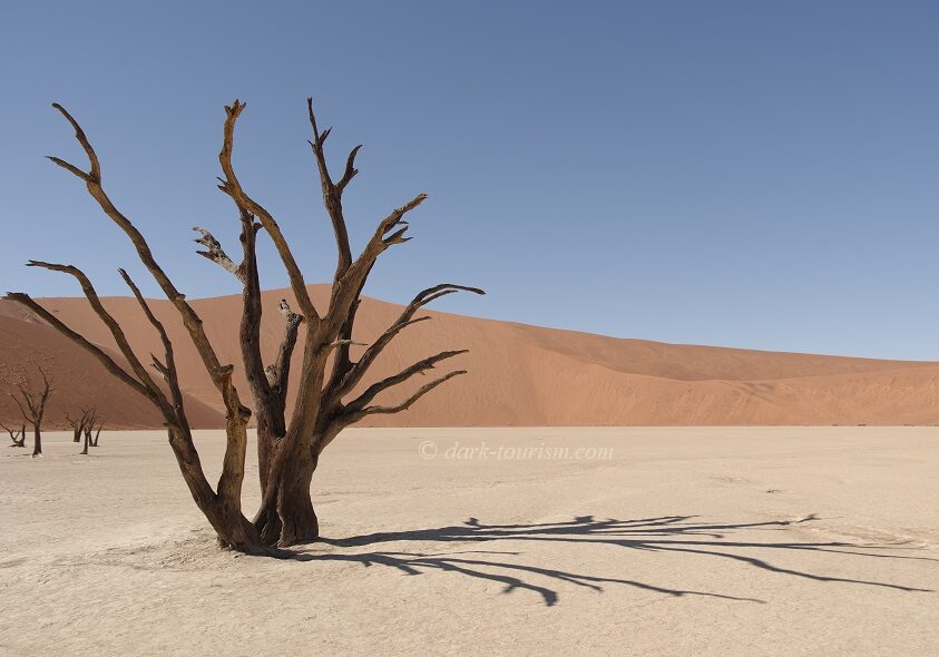 Namibia 10 - Dead Vlei